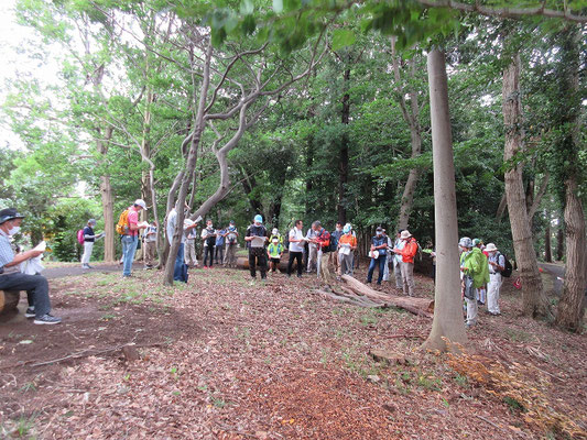 伊勢山自然公園  伊勢山大神宮や相模国分寺跡など、歴史的スポットに近接する緑豊かな自然公園。 