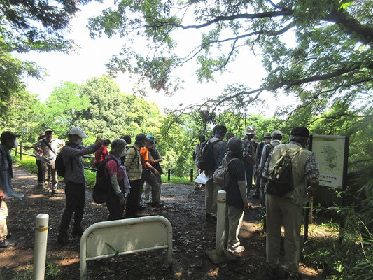 小山田緑地 分岐点（山中分園）  小山田緑地は、1990年（平成2年）6月1日に開園された町田市に所在する都立公園。   東京国際カントリー倶楽部ゴルフ場で分断され、本園、梅木窪分園、大久保分園、山中分園等に分かれています。　