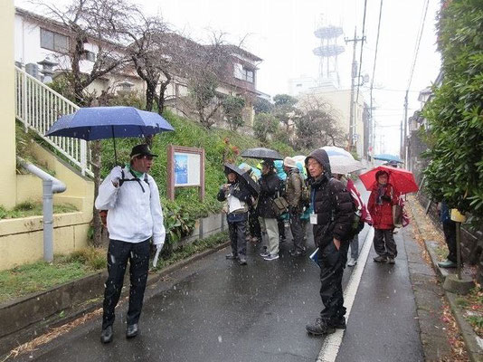 鎌倉街道の看板の前で