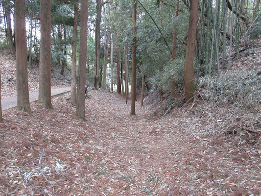 華厳院坂の古道遺構  　　　　　　　華厳院の西側にある坂道に「古代東海道」と「鎌倉街道上ノ道」の掘割状遺構があり、河井さんのご協力のもと、「鎌倉古道・歴史遺産の会」が保全活動をしています。