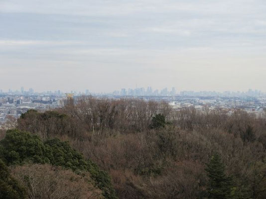 見晴台からの眺望  東京スカイツリーや都庁・新宿の高層ビル群が見えます。