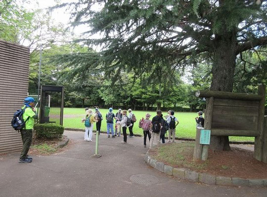 連光寺公園  都立桜ヶ丘公園に隣接する公園でテニスコートや子供用の遊具施設があります。