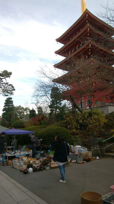 高幡不動  第三日曜日だったので、ござれ市 (骨董市)が開催されていました。