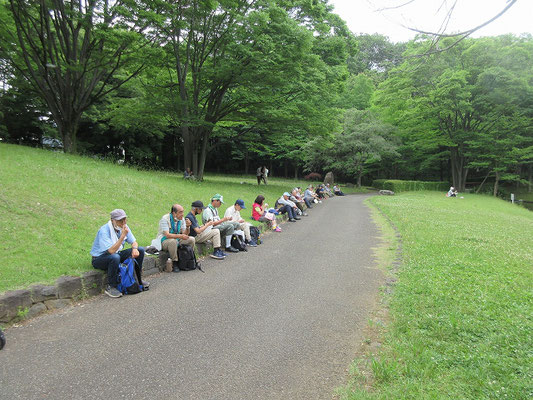 一本杉公園で昼食  少し早かったですが、古民家と池近くで昼食