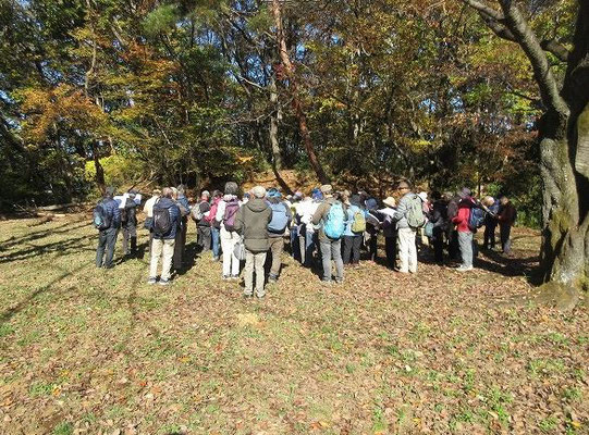 小田野城跡　  郭（くるわ）はけっこう広く、120ｍ×60ｍほどもある。　昭和53年の教育委員会の調査で戦国末期のものと思われる遺構が確認され、 都道61号線をトンネルに変更した。