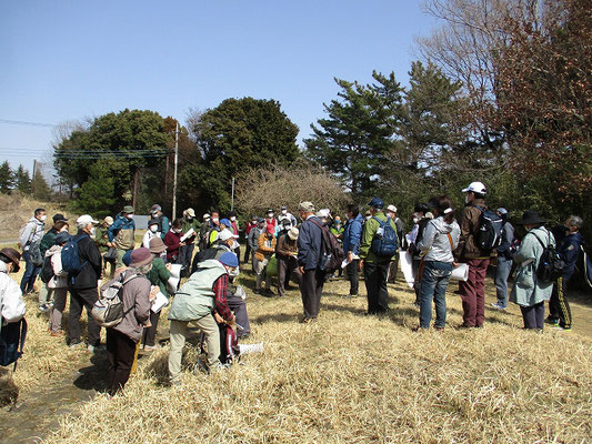 小山田緑地大久保分園　入口付近で昼食（12:20～13:00）  昼食後、午後の説明