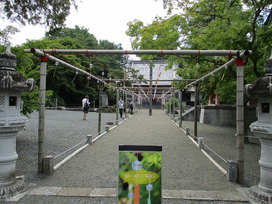 心源院  　曹洞宗寺院の心源院は、深澤山と号します。  　甲斐国から逃れてきた信玄の娘・松姫（信松尼）が、この寺で出家しました。 「願い結び風鈴」がたくさん吊るされていました。