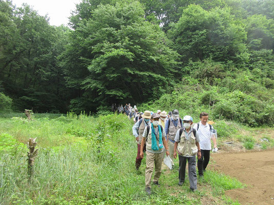 別所バス停、小野路バス停、妙桜寺方面へ 大犬久保谷戸から三方向に分かれて帰りました。