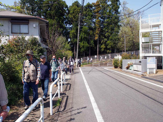 よこやまの道  　一本杉公園はもうすぐです。