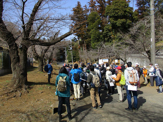 大泉寺　参道  小山田有重の居城といわれる小山田の大泉寺。 一族の墓と流鏑馬や馬駆けの行事が行われた真直ぐに伸びる参道が残っている