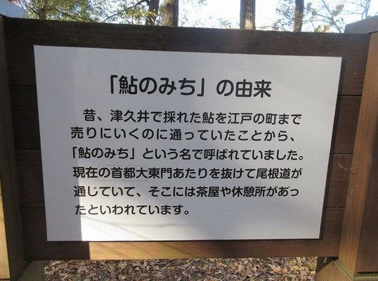 あゆの道  鮎のみちは別名を津久井往還。  津久井でとれた鮎を江戸の街まで売りに行く行商人が歩いていた道。