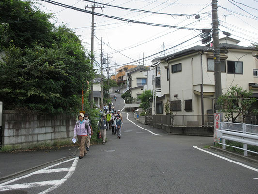 大坂　(最も重要な坂) 　古代東海道・鎌倉街道早ノ道・尾根古道が逢う坂。