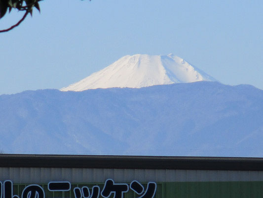 さくらの広場の先にある、レンタルのニッケン付近からの富士山