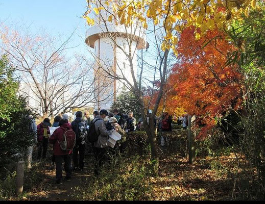 山王塚（よこやまの道終点）  山王塚跡には、鶴見川流域最高度三角点「山王塚」（168m）があります。  京都の三条河原に晒された源義朝の首を当地に移し、埋葬した塚が山王塚である、 という伝説がある。