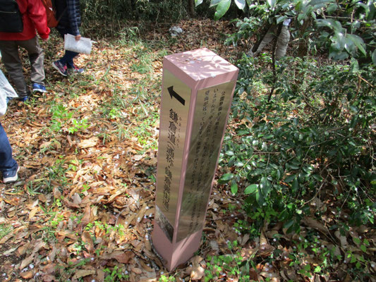 鎌倉道(通称・鎌倉裏街道)  小野路の宿に続く中世の鎌倉街道の一つで、関戸にあった関所を通る煩わしさを避けた道とも考えられる。  土方歳三や沖田総司らが小野路での出稽古に日野宿方面から通った道でもあった。