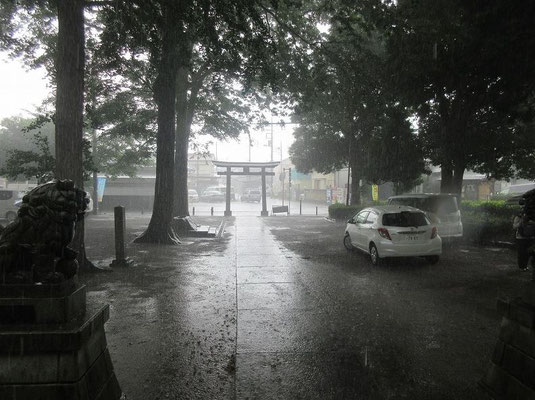 西蓮寺の手前の神社で雨宿り