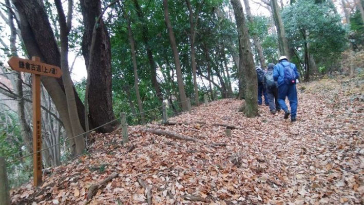 鎌倉古道(上ノ道) 跡を歩く。