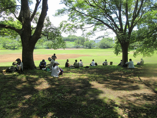 諏訪南公園で昼食  正面に丸山が見えます。