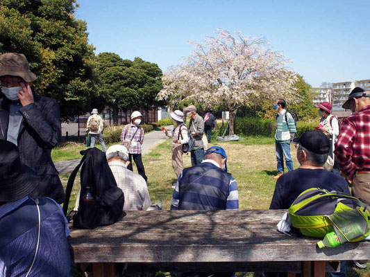 東京国際ゴルフ倶楽部のクラブハウス近辺  　「古戦場伝説と勝負塚」の説明版、そばにある桜はまだ満開でした。