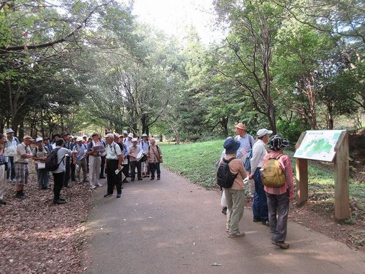 都立桜ヶ丘公園  多摩丘陵自然公園内にある、丘陵と谷間からなる公園です。丘陵公園だけに、地形は高低差数十mと起伏に富んでいます。  園内には雑木林を主体にした自然林があり、自然散策に適しています。 なお、公園の中ほどには、旧多摩聖蹟記念館（多摩市管理）があります。