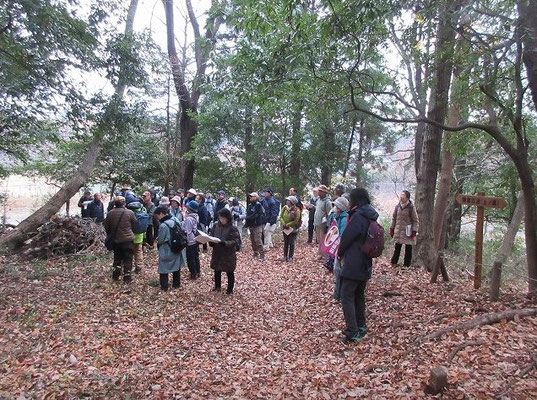 鎌倉古道(上ノ道) 跡。後方は野球場、上ノ原遺跡へと続く。