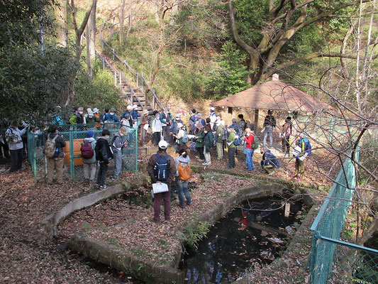 鶴見川源流（小山田楽園跡地区）  下小山田の源