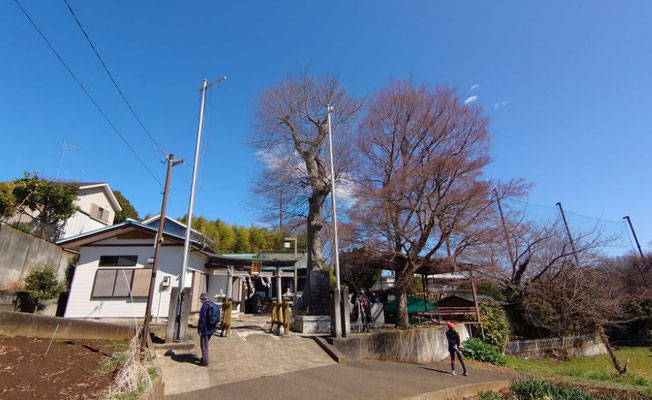 白山神社