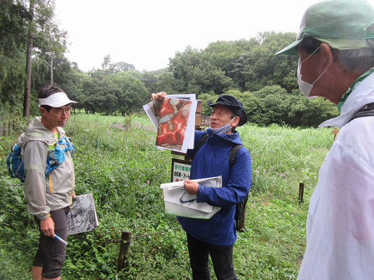 支線鎌倉道を通り華厳院坂の上で赤色地図を使っての説明。 かつてこの付近で３箇所のトレンチ試掘を行ったそうです。