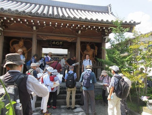 高西寺  富澤家の当主が父の菩提寺として、壽徳寺三世超巌守秀を開山に迎えて慶長4年（1599）に創建したといいます。  歴史古道が眠る高西寺通り 飛鳥や奈良へと続く古代東海道と源頼朝伝説の鎌倉街道早の道跡　(高西寺　建立　看板より)