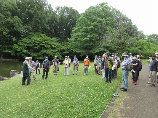 縄による歩幅測定（一本杉公園で）  昼食後に「古街道の科学検証プログラム」の一環で印のある縄に沿って歩き歩幅の測定をしました。   「オムロン」のサイトをみる歩幅の目安は身長×0．45です。  「一般的に歩幅は６０～７０センチですが、古代や中世の計画道路遺跡から発見される小穴列（ピット列）も多くがその間隔でできていますので歩き進めながら掘ったのかも。」