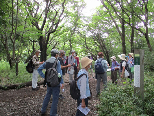 黒川・瓜生往還  　黒川よこみね緑地（麻生区）は、下り坂が前日の雨で滑るので寄りませんでした。　  　黒川・瓜生往還とは、川崎市の黒川と多摩市永山の瓜生を結んでいた往還道。　 　黒川の「黒川炭」や「禅寺丸柿」を、八王子方面や江戸に運ぶ際に使っていました。　　　　　　