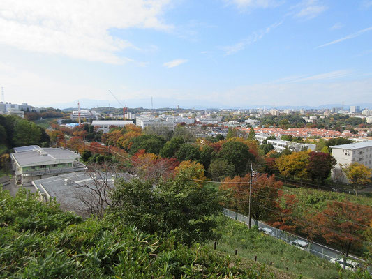 見返りの峠(休憩)からの紅葉