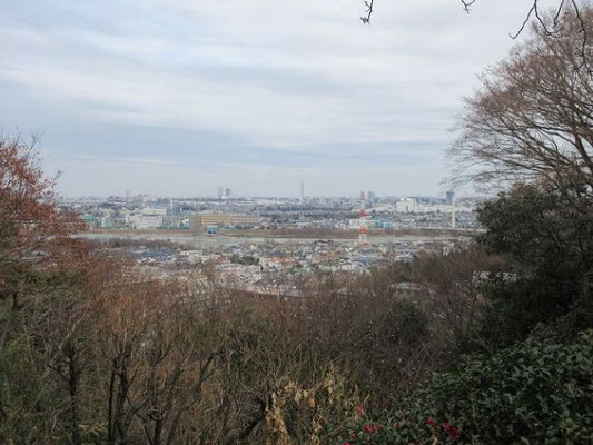 中央左に見える２棟の高層ビルは国分寺駅の再開発ビル、その奥には筑波山が見える時もあります。  中央の高い建物は東芝府中工場のエレベーター研究棟、右方向に聖蹟桜ヶ丘駅周辺が見えます。