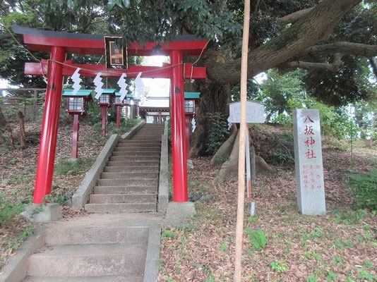 天王森公園・八坂神社  以前は、当地の萩原家の裏山にあった牛頭天王社だが、 祈祷師の見立てで村内のもっと高い所への遷座を希望するご託宣があり現在地へ遷った。  一等三角点　多摩市最高地点　標高 161.7m 明治15年(1882)明治天皇が狩りをした際、当地で野立てを行った記念碑がある。  御神木「スダジイ」幹周り3.2メートル　樹高17メートル　 幹の穴に白蛇が住んでいるという伝説がある。