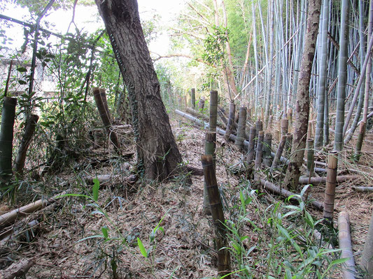 平尾十三塚（ひらおじゅうさんづか）  　稲城市と川崎市の境界にある丘陵稜線上に、13の塚がほぼ東西向きに整然と並んでいます。  　一般的な十三塚に見られる通り、中央の塚（7号塚）はやや大きく、両側に6基ずつやや小さ目の塚が並んでいます。 　何号塚なのかは不明です。