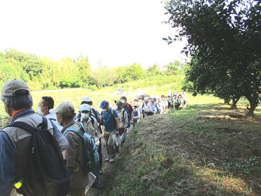 古沢都古緑地(ふるさわつとりょくち)  　東京都と神奈川県の境界へ。