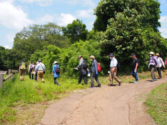 奥州廃道を南下(1)  　小山田緑地(山中分園)へ向かいます。 　 　小山田緑地は、東京都町田市の都立 公園。1990年6月1日開園。