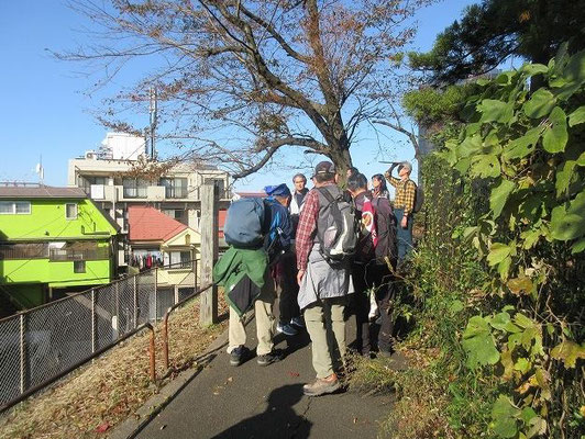 奥州古道（中尾道）  中尾道であるこの道は、足柄や箱根の峠から厚木を経てこの辺りを通り、 落合の白山神社（多摩センター付近）から府中、さらに北上して奥州（東北地方の陸奥・出羽両国）へと向かった官道の一つです。