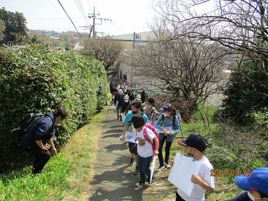 諏訪神社へ向かいます  　大山、蛭が岳、富士山、少しかすんでいましたが見えました。