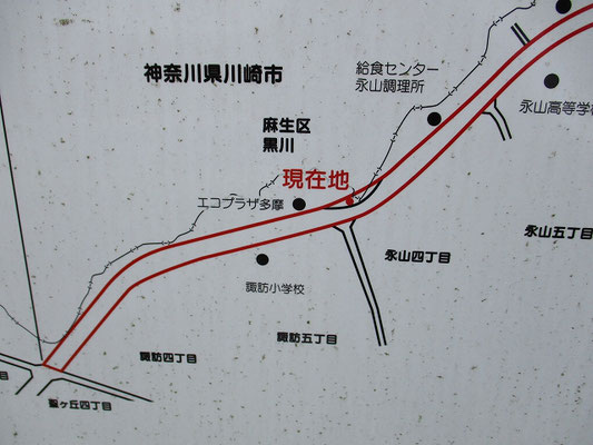 多摩都市計画道路３・１・６号南多摩尾根幹線　平面図 (現地看板より)  　道路を拡幅直線にする為、推定・古代東海道が残る箇所や、階段周辺がなくなってしまうことを危惧し、団長が事前調査や設計の変更を求めて動いています。　　　　