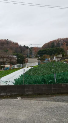 湯船バス停付近から見る古代道痕跡。