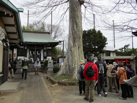 連光寺白山神社  　　寛永3年（1626）に創建、御神体は延宝8年（1680）に奉遷したものだと。