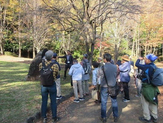 歴史古街道団 作成者: 遠藤邦江  · 11月11日 · 編集済み  ·    .. 一本杉公園　万葉歌碑の前で説明を聴く。  原文  阿加胡麻乎 夜麻努尓波賀志 刀里加尓弖 多麻能余許夜麻 加志由加也良牟  　　　　　　 赤駒を　山野(やまの)に放し　捕(と)りかにて　  多摩の横山　徒歩(かし)ゆか遣(や)らむ　  （万葉集　20－4417）　　  　　  豊島郡(としまこほり) の上丁(かみつよぼろ)　　　　椋椅部(くらはしべの)荒(あら)虫(むし)が妻　   宇遅部(うぢべの)黒女(くろめ) 赤駒