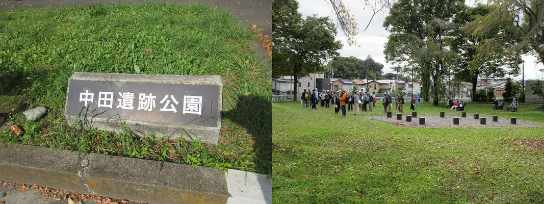 中田遺跡公園で昼食(12:30～13:00)  　都営中野団地の造成に伴い、1966年（昭和41）から翌年にかけて発掘調査されました。 　 　縄文時代から平安時代に至る、当時としては非常に大規模な集落遺跡として注目を集め、昭和45年に一部が市の史跡に指定され、公園として整備されました。