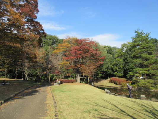 一本杉公園（昼食）の紅葉