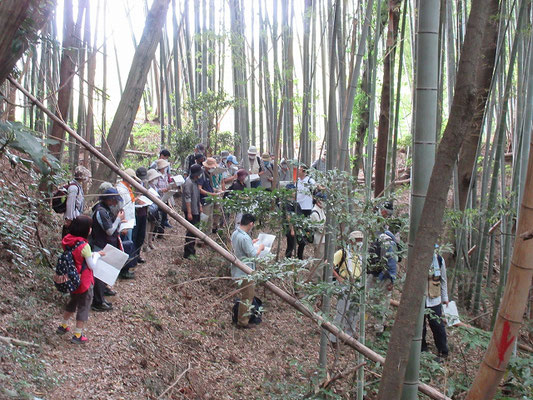 関屋城砦  小野路の宿の裏手の山は古くからの鎌倉古道の関所跡や砦跡の痕跡や二重の空濠跡・鎌倉古道の跡が残されています。中世の交通の要衡になっていたと推定されます。