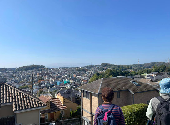 鎌倉街道早ノ道でもある尾根緑道から見える広袴・真光寺の住宅地や大山丹沢の眺望。雲のない晴天ですね。