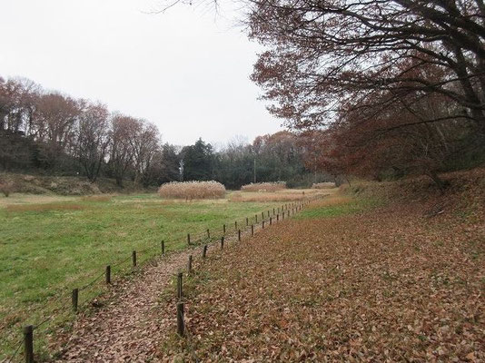 推定・古代東海道(人工的くぼ地)と右側に鎌倉古道。