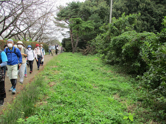 多摩よこやまの道に平行して残る山道  　　かつて京都と東北地方（奥州）を結んでいた奥州古道の痕跡。（奥州古道常盤ルート）