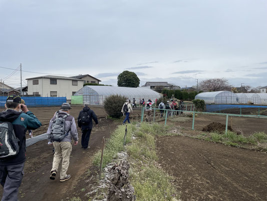 古道は畑の中を抜ける未舗装路になりました。